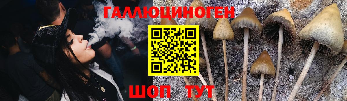 Галлюциногенные грибы мухоморы Узловая